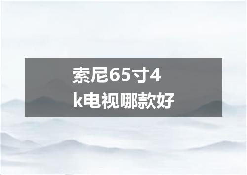 索尼65寸4k电视哪款好