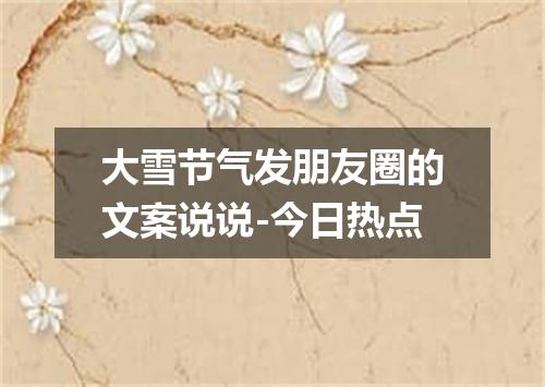 大雪节气发朋友圈的文案说说-今日热点