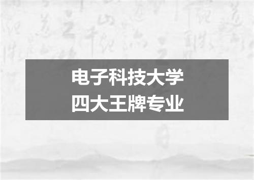 电子科技大学四大王牌专业