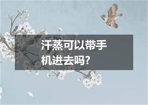 汗蒸可以带手机进去吗?