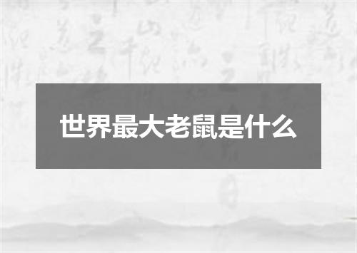 世界最大老鼠是什么