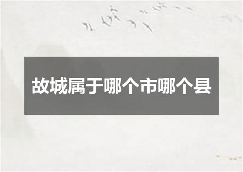故城属于哪个市哪个县