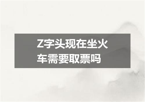 Z字头现在坐火车需要取票吗