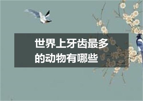 世界上牙齿最多的动物有哪些