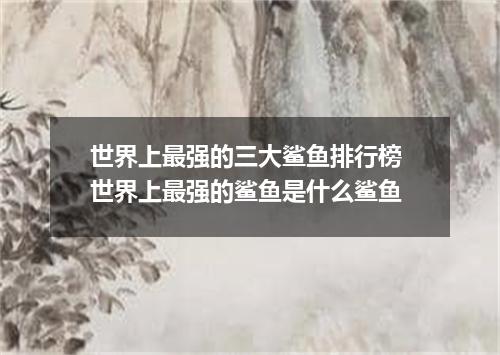 世界上最强的三大鲨鱼排行榜 世界上最强的鲨鱼是什么鲨鱼
