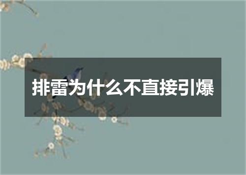 排雷为什么不直接引爆