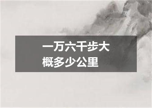 一万六千步大概多少公里