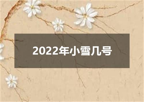 2022年小雪几号