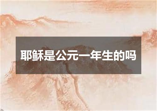 耶稣是公元一年生的吗