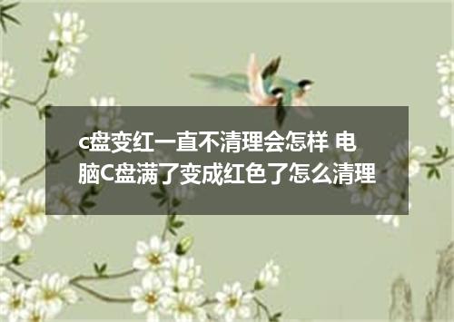 c盘变红一直不清理会怎样 电脑C盘满了变成红色了怎么清理