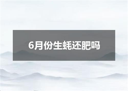 6月份生蚝还肥吗