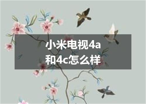 小米电视4a和4c怎么样
