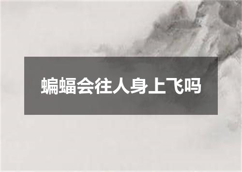 蝙蝠会往人身上飞吗