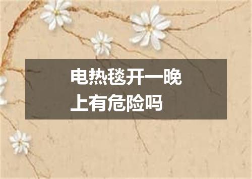 电热毯开一晚上有危险吗