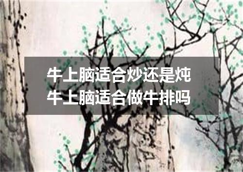 牛上脑适合炒还是炖 牛上脑适合做牛排吗