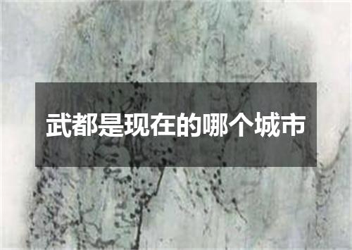 武都是现在的哪个城市