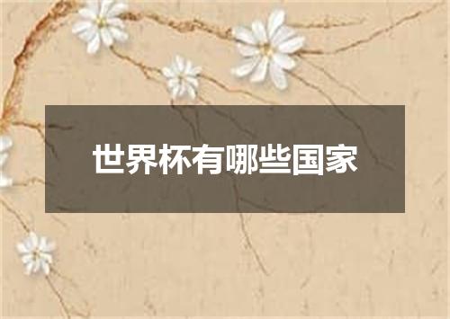 世界杯有哪些国家