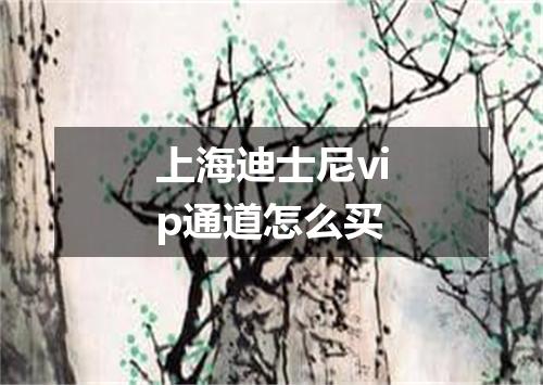 上海迪士尼vip通道怎么买