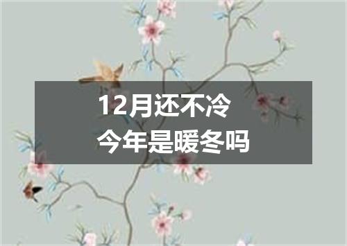 12月还不冷今年是暖冬吗
