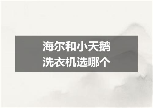 海尔和小天鹅洗衣机选哪个