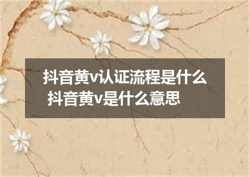 抖音黄v认证流程是什么 抖音黄v是什么意思