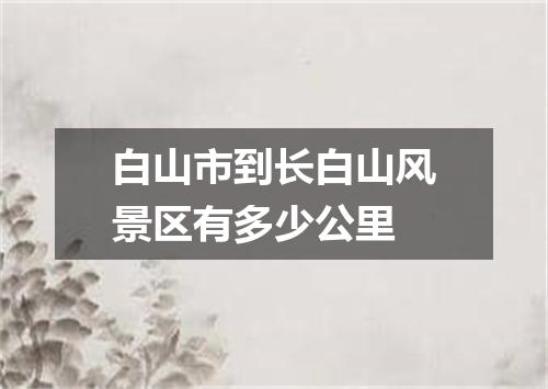 白山市到长白山风景区有多少公里
