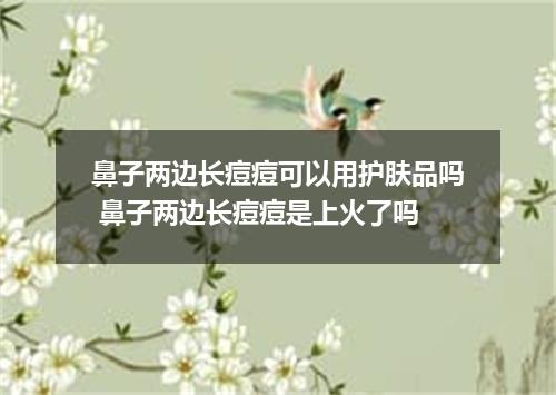 鼻子两边长痘痘可以用护肤品吗 鼻子两边长痘痘是上火了吗