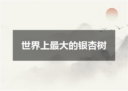 世界上最大的银杏树