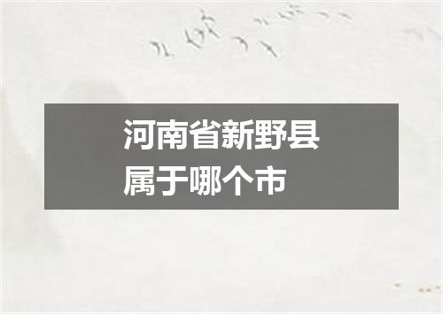 河南省新野县属于哪个市