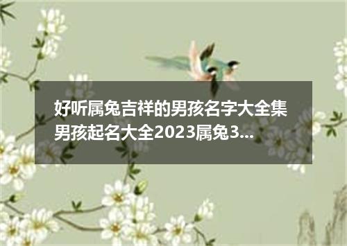 好听属兔吉祥的男孩名字大全集 男孩起名大全2023属兔320个
