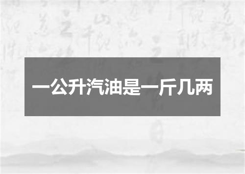 一公升汽油是一斤几两