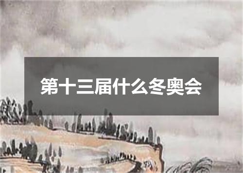 第十三届什么冬奥会