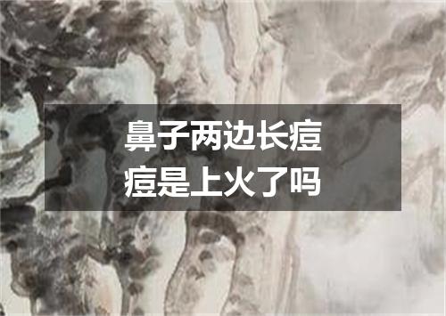 鼻子两边长痘痘是上火了吗