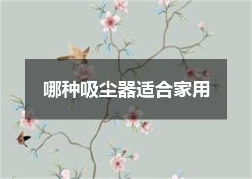 哪种吸尘器适合家用