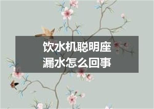 饮水机聪明座漏水怎么回事