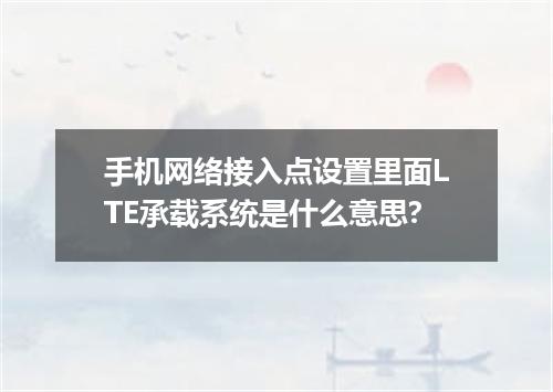 手机网络接入点设置里面LTE承载系统是什么意思?