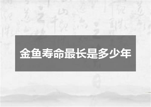金鱼寿命最长是多少年