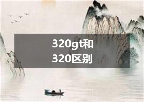 320gt和320区别