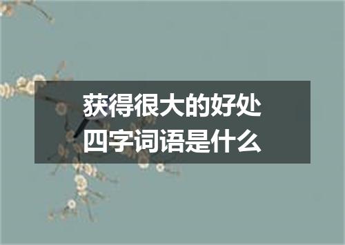 获得很大的好处四字词语是什么