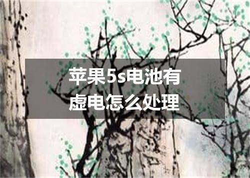 苹果5s电池有虚电怎么处理