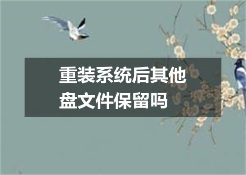 重装系统后其他盘文件保留吗