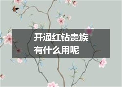 开通红钻贵族有什么用呢