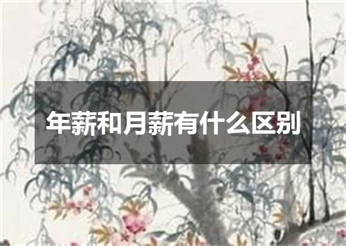 年薪和月薪有什么区别