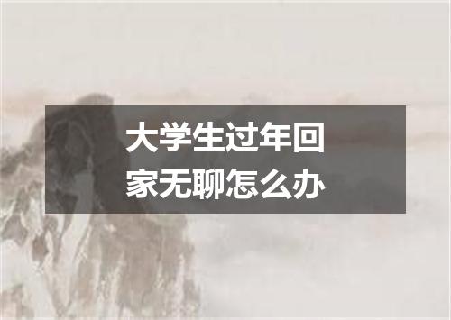 大学生过年回家无聊怎么办