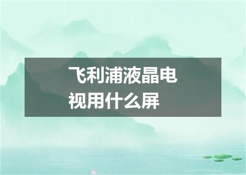 飞利浦液晶电视用什么屏