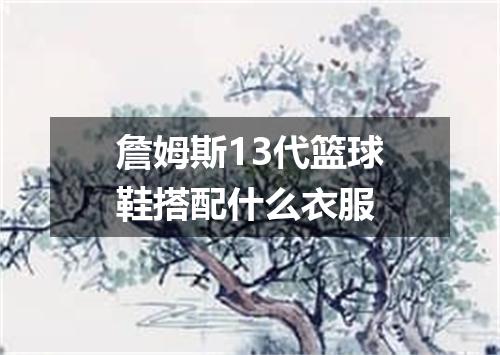 詹姆斯13代篮球鞋搭配什么衣服
