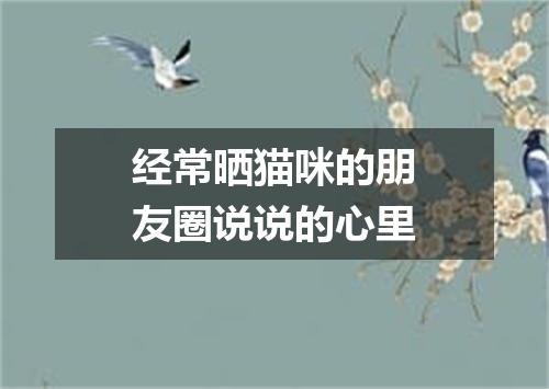 经常晒猫咪的朋友圈说说的心里