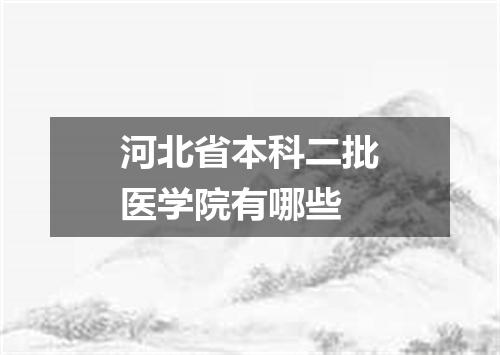 河北省本科二批医学院有哪些