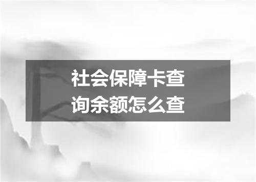 社会保障卡查询余额怎么查