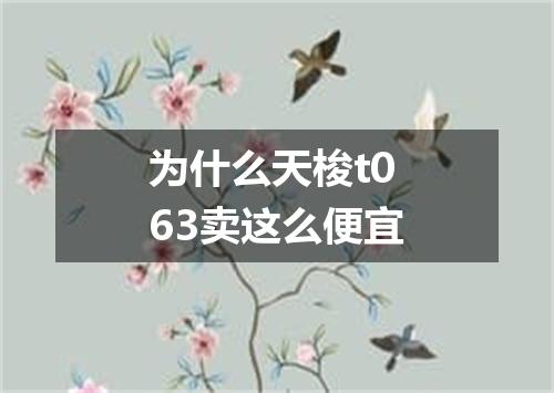 为什么天梭t063卖这么便宜